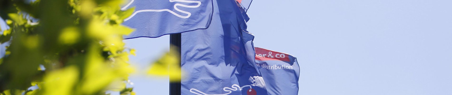 buehne_unternehmen_flaggen_l.jpg.jpg
